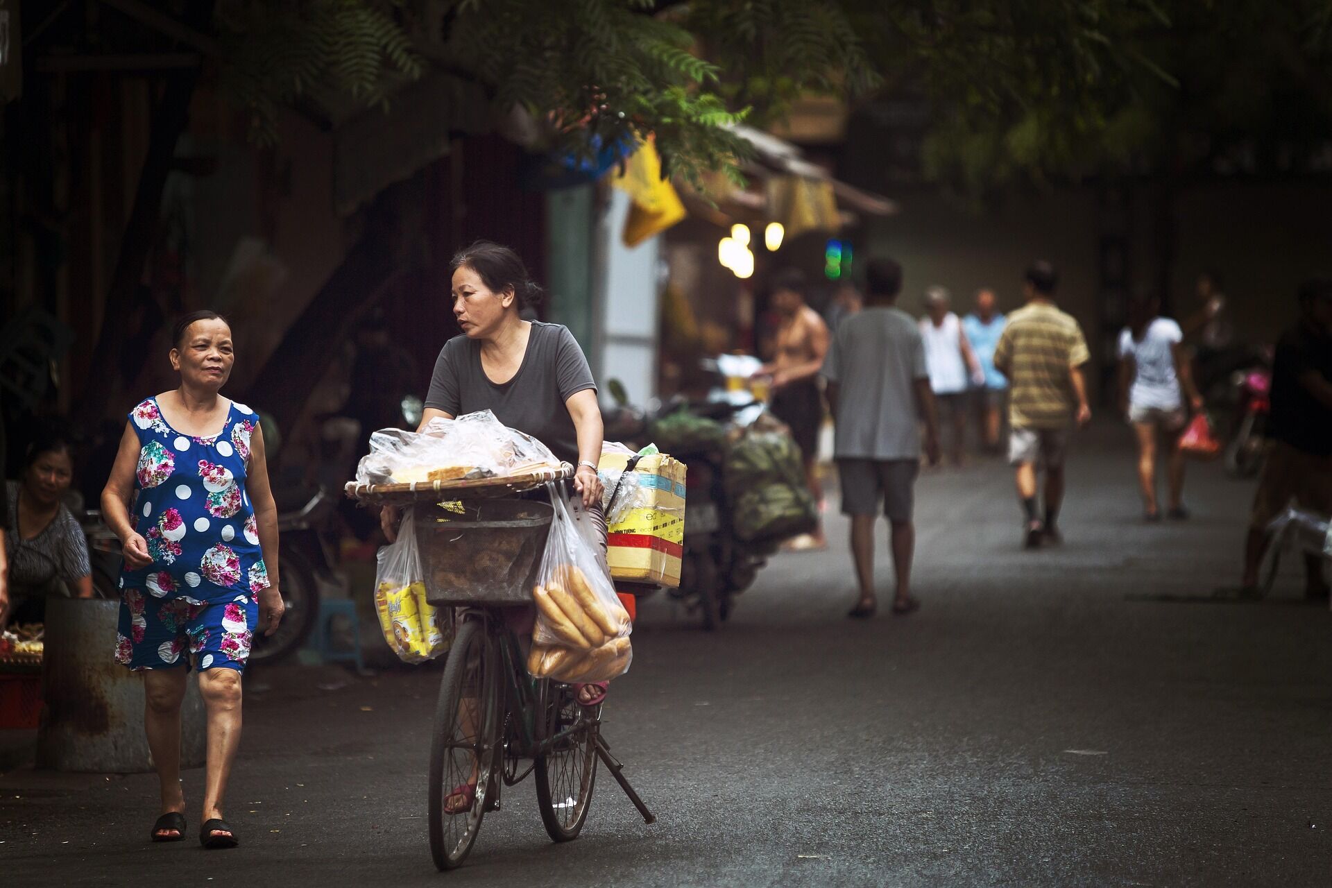 Start your visa-prepared journey with Vietnam’s vibrant glow